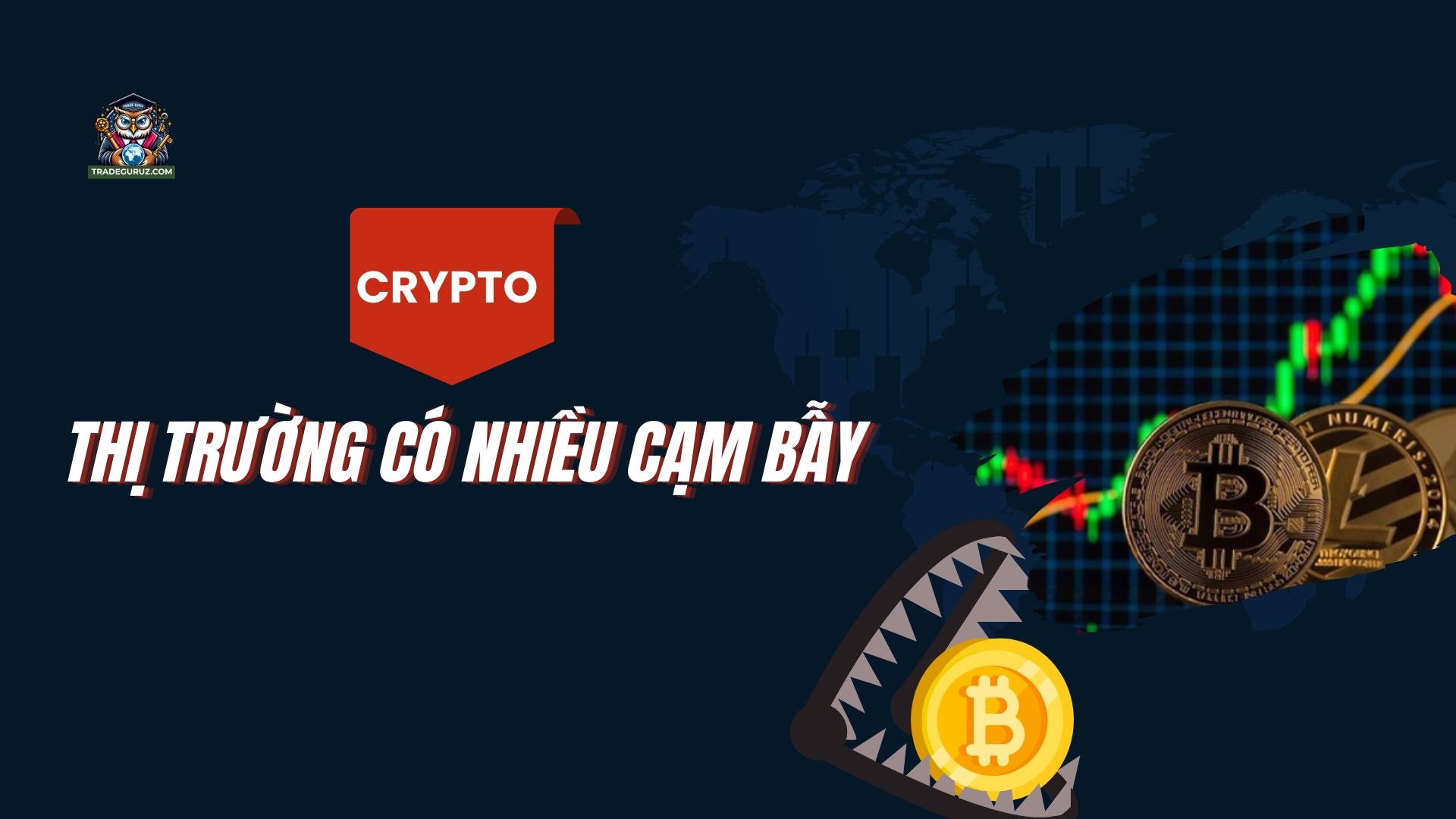 Thị trường crypto biến động và phức tạp
